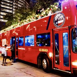 Houston City Tours - Houston Holiday Lights tour
