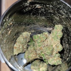 Lightshade Rec & Med Dispensary - Lightshade Tropicana banana