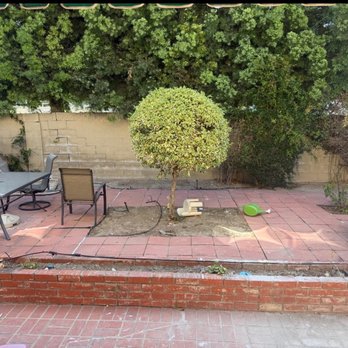 MC Landscaping - Before - Landscaping Near Me - Lakewood, California