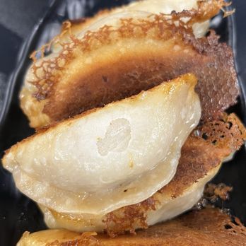 Dumpling King - Pork Fried Dumplings - Dim Sum Near Me - Pembroke Pines, Florida