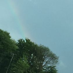 Settlers Park - Rainbow