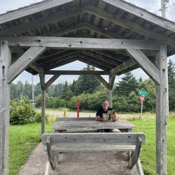 Diane's Restaurant - Outdoor seating