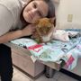 Photo of Animal Hospital of Padre Island