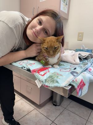 Animal Hospital of Padre Island