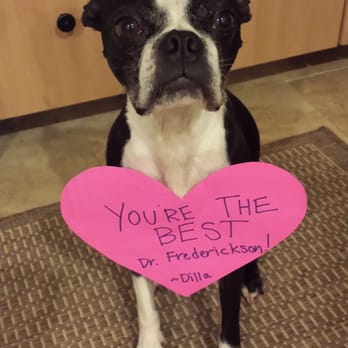Boulevard Veterinary Logan Square - Appreciative Puppy - I love my vet! - Veterinarians Near Me - Chicago, Illinois Boulevard Veterinary Logan Square - Appreciative Puppy - I love my vet! - Veterinarians Near Me - Chicago, Illinois