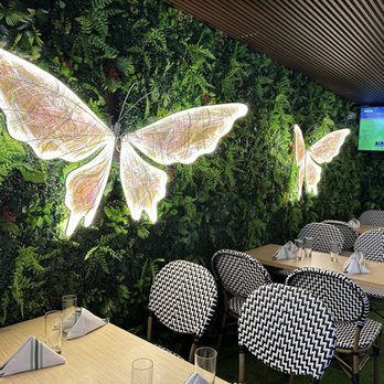 Mariposas - Love the fun decorating - Peruvian Near Me - San Francisco, California Mariposas - Love the fun decorating - Peruvian Near Me - San Francisco, California