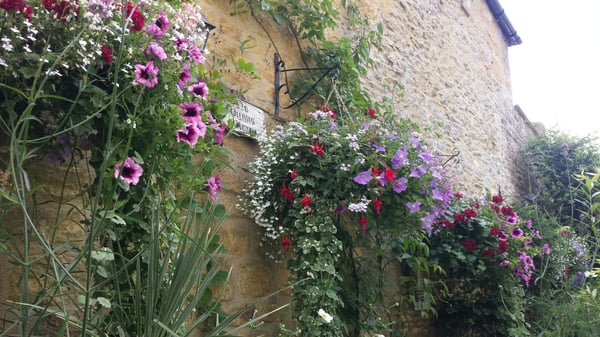 Queens Head Inn by null