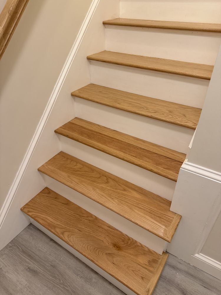 Slide of Pedretti’s Painting