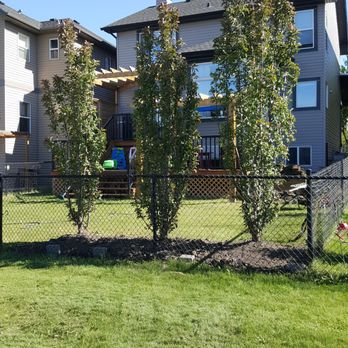 Vollmin Trees - Tree Services Near Me - Calgary, Alberta Vollmin Trees - Tree Services Near Me - Calgary, Alberta