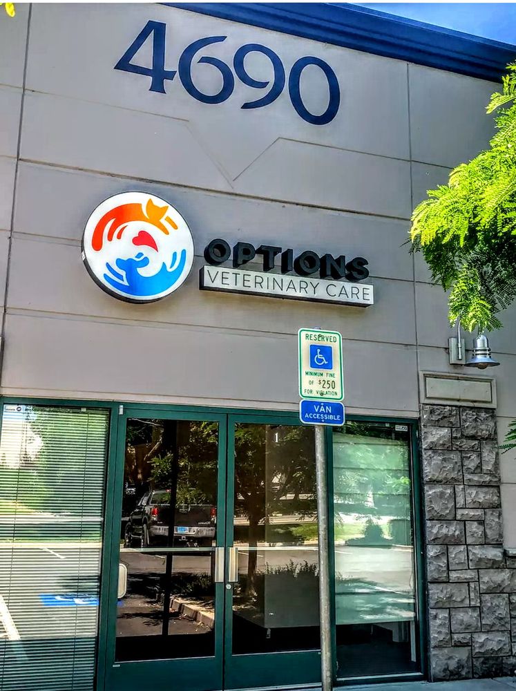 OPTIONS VETERINARY CARE 18 Reviews Veterinarians 4690 Longley Ln