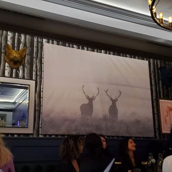 Wilder - Art/decor - New American Near Me - San Francisco, California