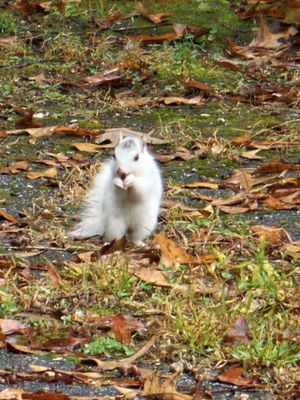 Oskar Blues Brewery Taproom by null