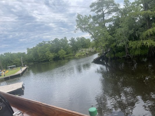 Bluebird Fish Camp by null