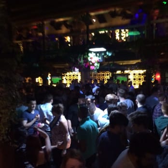 Dicey's Garden - Bars Near Me - Dublin, D Dicey's Garden - Bars Near Me - Dublin, D