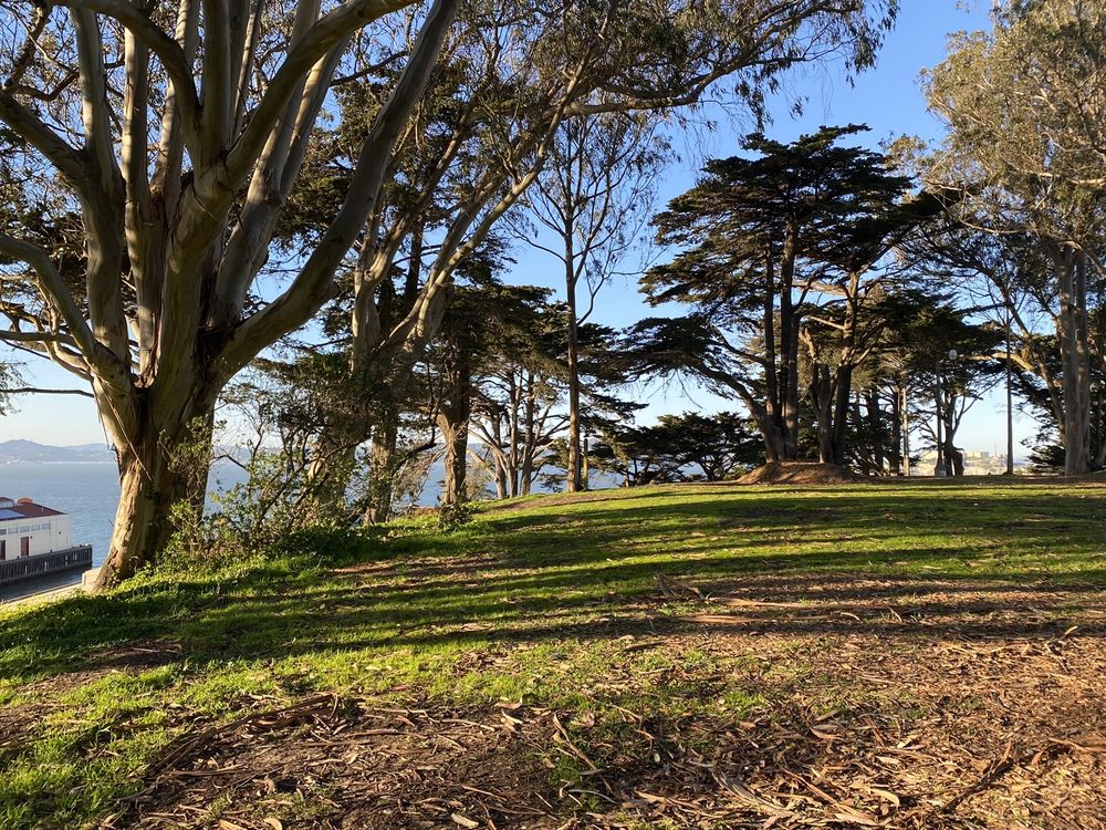 GREAT MEADOW PARK AT FORT MASON 142 Photos & 19 Reviews Bay St And