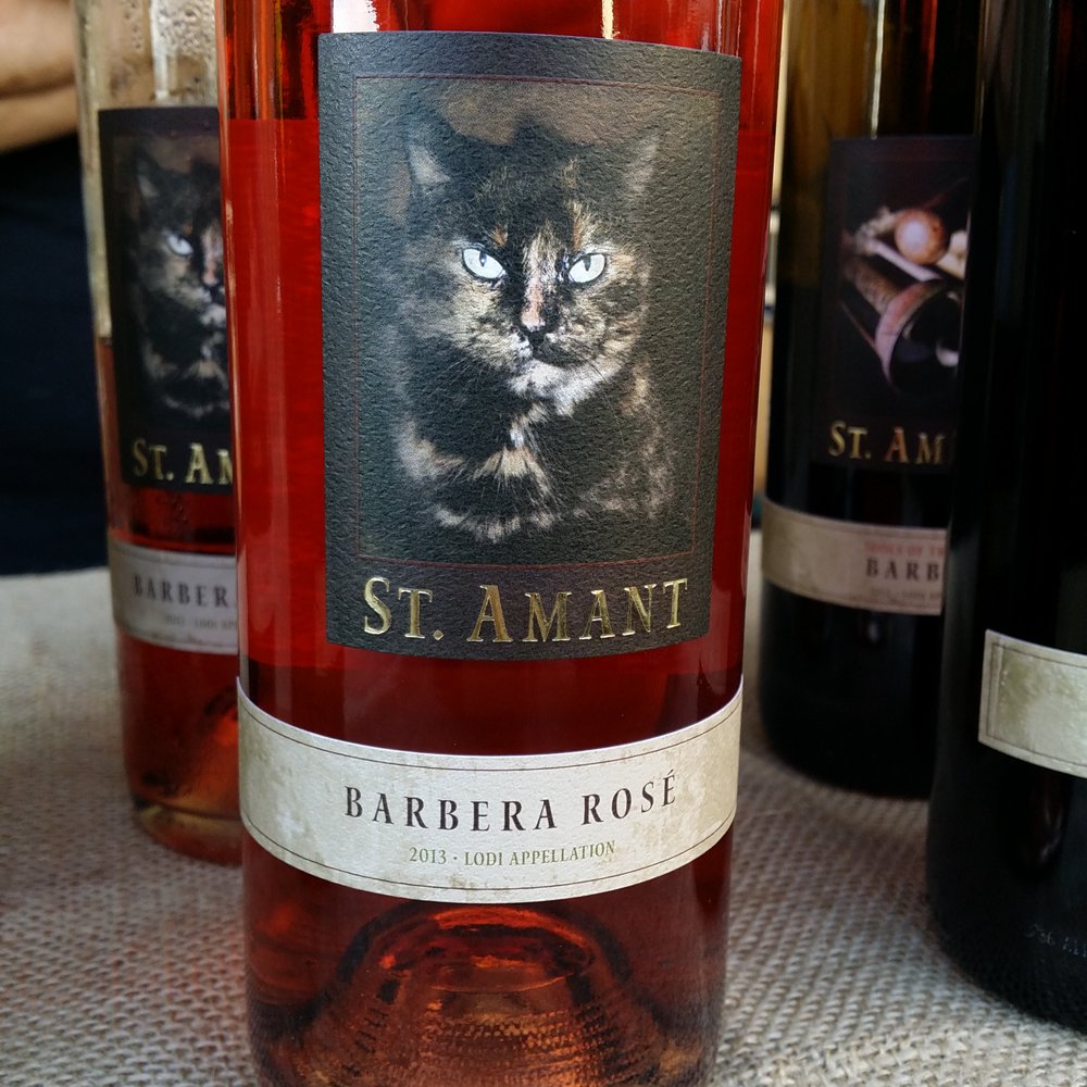 This is calico, one of the winery cats. This is calico, one of the winery cats.