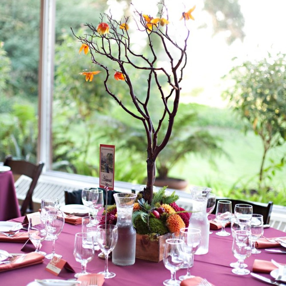 Jane Hammond Events - Andi Hatch Photography - Party & Event Planning Near Me Jane Hammond Events - Andi Hatch Photography - Party & Event Planning Near Me