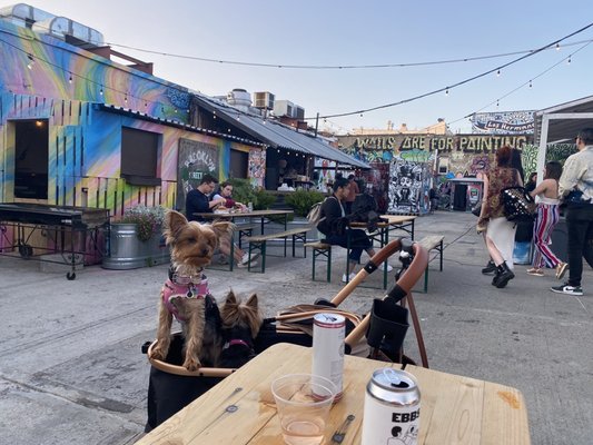 Brooklyn Beer Garden by null