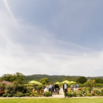 Brix - Garden reception area - New American Near Me - Napa, California