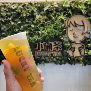 Lucky Tea - Coffee & Tea Near Me - Santa Clara, California Lucky Tea - Coffee & Tea Near Me - Santa Clara, California