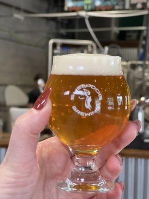 Sheepdog Brewing by null