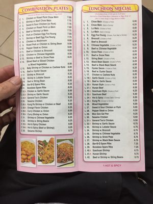 Menu photo 3 New Hong Kong House Brooklyn, NY