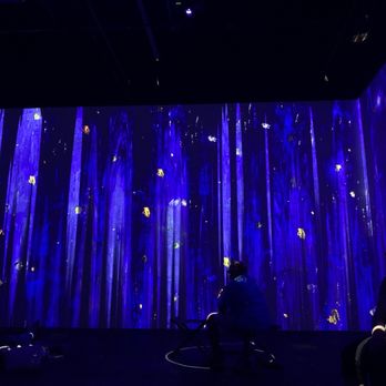 Immersive Van Gogh - Charlotte - Art Galleries Near Me - Charlotte, North Carolina