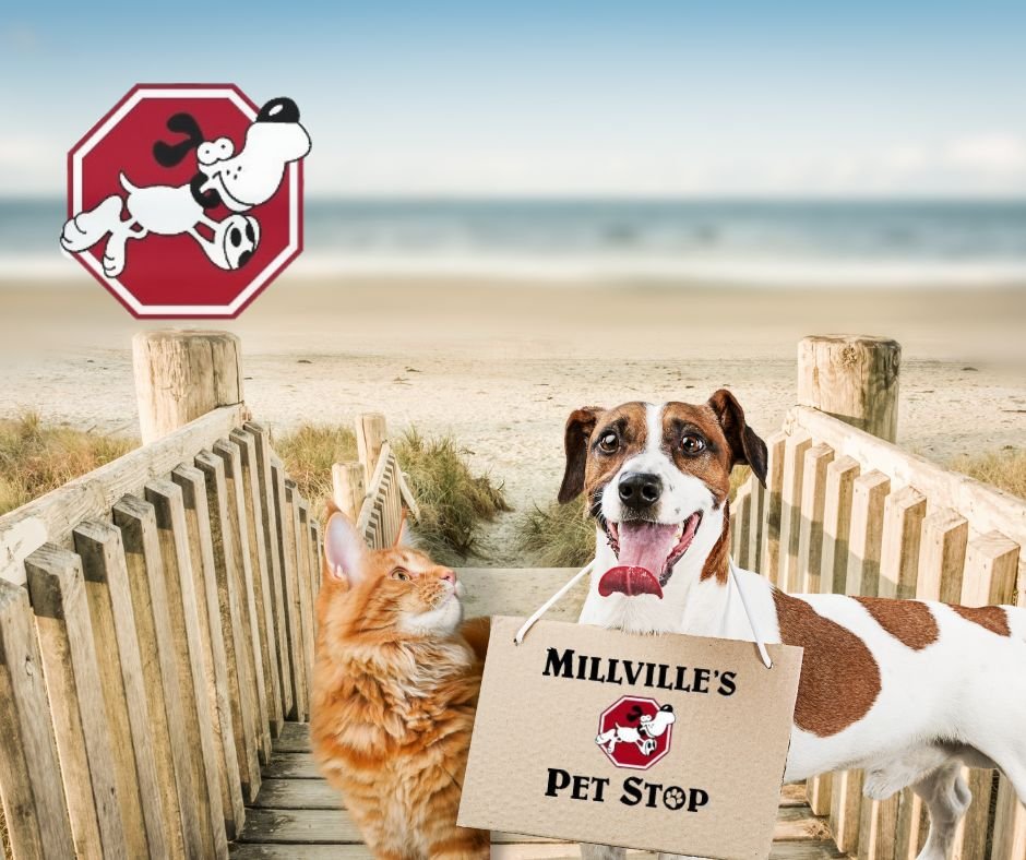 Millville's Pet Stop Image