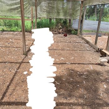 Springtime Farms - Nothing - Nurseries & Gardening Near Me - North Fort Myers, Florida Springtime Farms - Nothing - Nurseries & Gardening Near Me - North Fort Myers, Florida