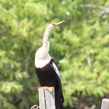 Bailey Homestead Preserve - Parks Near Me - Sanibel, Florida