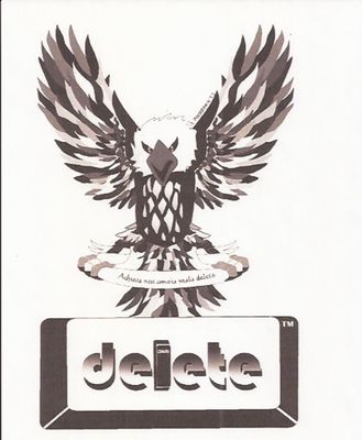 Clever Girl Design Studio