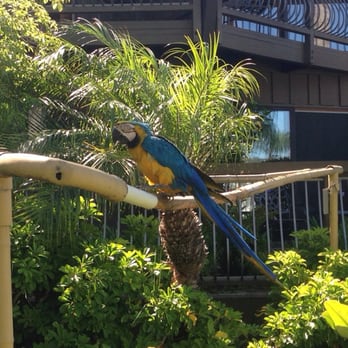 Humphreys Half Moon Inn - Nice gardens - San Diego, CA