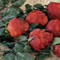 Evon's Mediterranean Catering - Strawberry roses bouquet