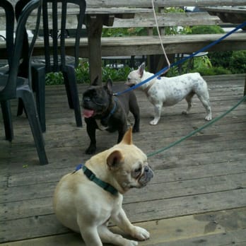 Bongo Java - Happy Guests - Coffee & Tea Near Me - Nashville, Tennessee