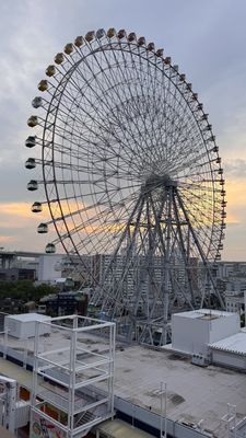 Tempozan Ferris Wheel by null