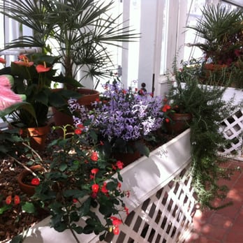 Tulsa Garden Center - green house - Venues & Event Spaces Near Me - Tulsa, Oklahoma Tulsa Garden Center - green house - Venues & Event Spaces Near Me - Tulsa, Oklahoma
