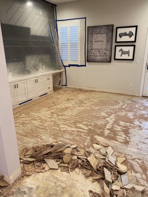 Need Help? Call Today! - Call today for your cleaning needs!