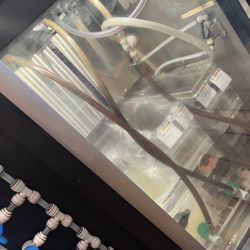 These are the tubes your iced drinks go through!! (they are supposed to be clear!) your lemonade, iced tea, green tea, iced coffee, coldbrew