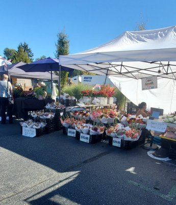 Crossroads Farmers Market by null