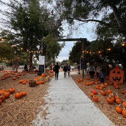 Moreland Pumpkin Patch - The pumpkin part of the patch