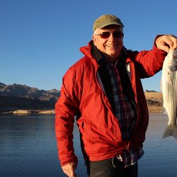 Big Water Boating - Lake Mead stripped bass