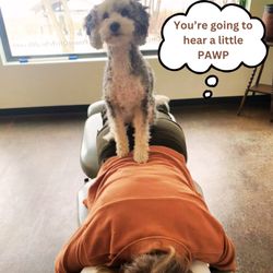 Power of Life Alternative & Holistic Health - Clinic Dog, Sadie!