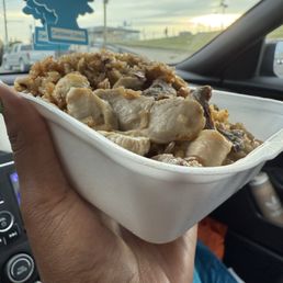 Combo Hibachi Rice