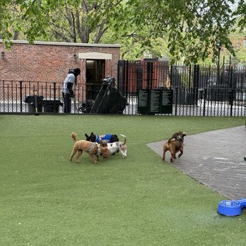 Tompkins Square Park Dog Run - Dog Parks Near Me - New York, New York Tompkins Square Park Dog Run - Dog Parks Near Me - New York, New York