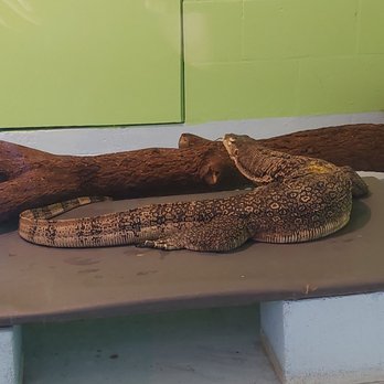 Reptile World Serpentarium - Zoos Near Me - Saint Cloud, Florida