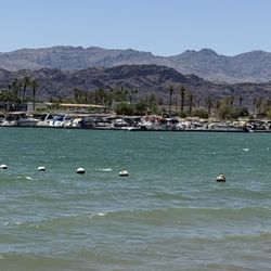 Lake Havasu Marina