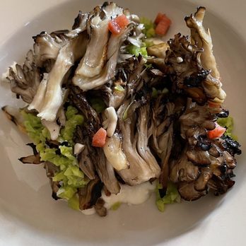 Mish Mish - Maitake mushrooms - Mediterranean Near Me - Philadelphia, Pennsylvania Mish Mish - Maitake mushrooms - Mediterranean Near Me - Philadelphia, Pennsylvania
