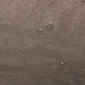 Gateway At Denton - This is the ceiling. Painted over who knows what. - University Housing Near Me - denton, Texas