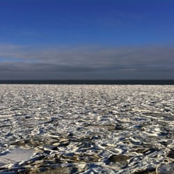 Wyker Dampfschiffs-Reederei