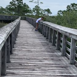 Wade Ward Nature Park